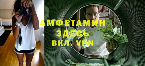 прущие грибы Няндома