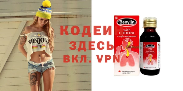 прущие грибы Няндома