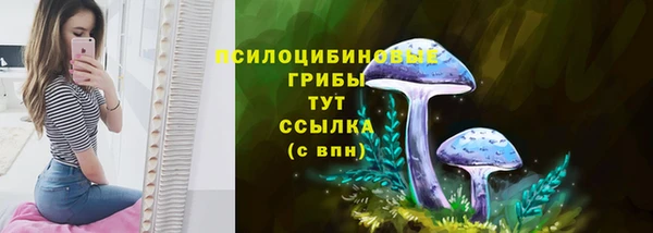 мескалин Нягань