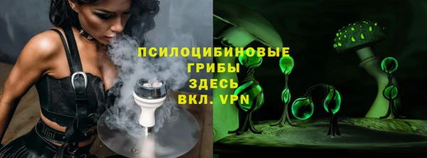 прущие грибы Няндома