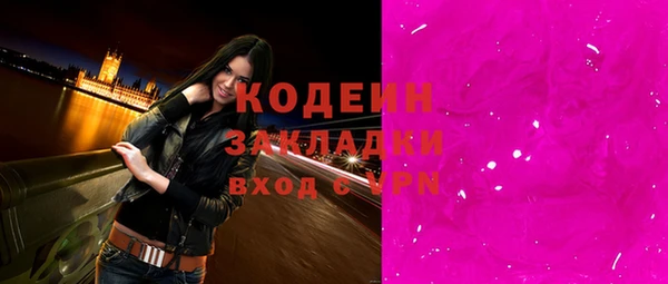 прущие грибы Няндома