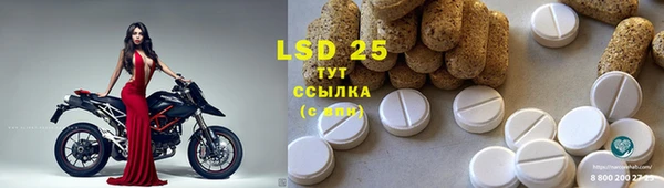 Альфа ПВП Новозыбков