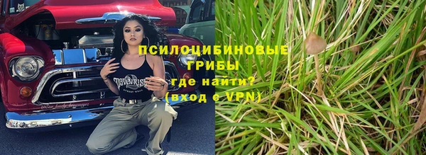 прущие грибы Няндома