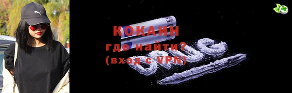 прущие грибы Няндома