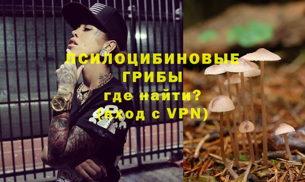 мяу мяу мука Нязепетровск
