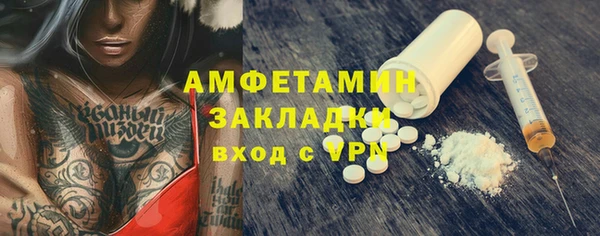 прущие грибы Няндома