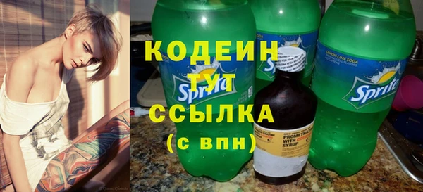 прущие грибы Няндома