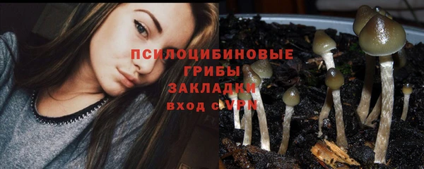 мескалин Нягань