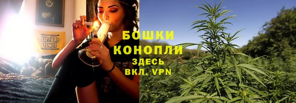 прущие грибы Няндома