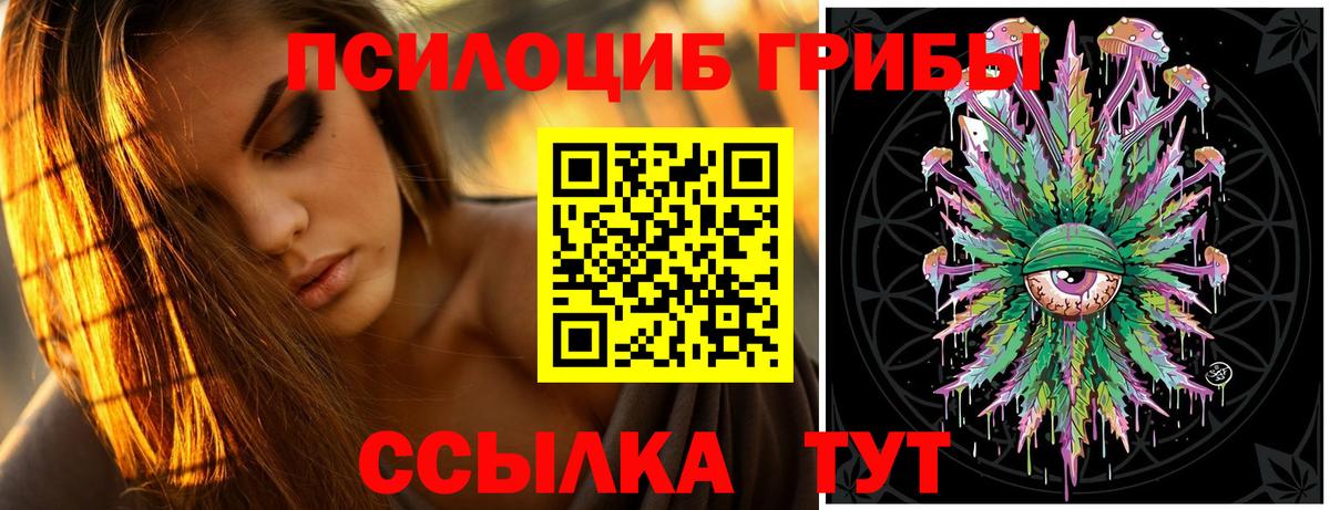 Якутск  Псилоцибиновые грибы прущие грибы  Вход с VPN 
